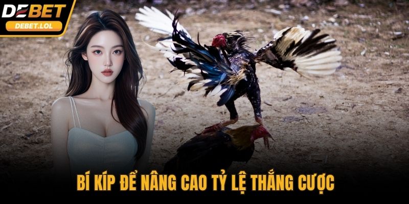 Bí kíp để nâng cao tỷ lệ thắng cược