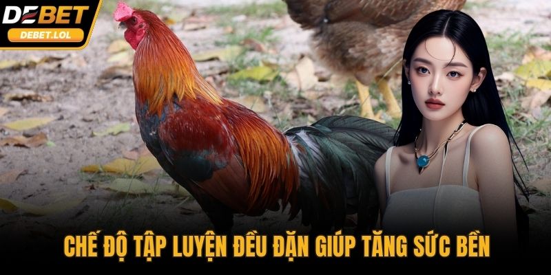 Chế độ tập luyện đều đặn giúp tăng sức bền
