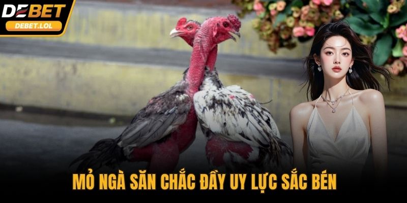 Mỏ ngà săn chắc đầy uy lực sắc bén