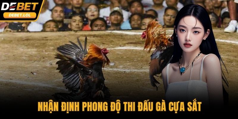 Nhận định phong độ thi đấu gà cựa sắt