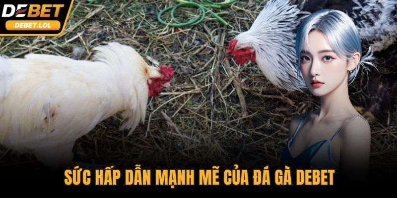 Sức hấp dẫn mạnh mẽ của đá gà DEBET