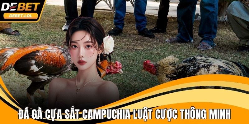 Đá gà cựa sắt Campuchia